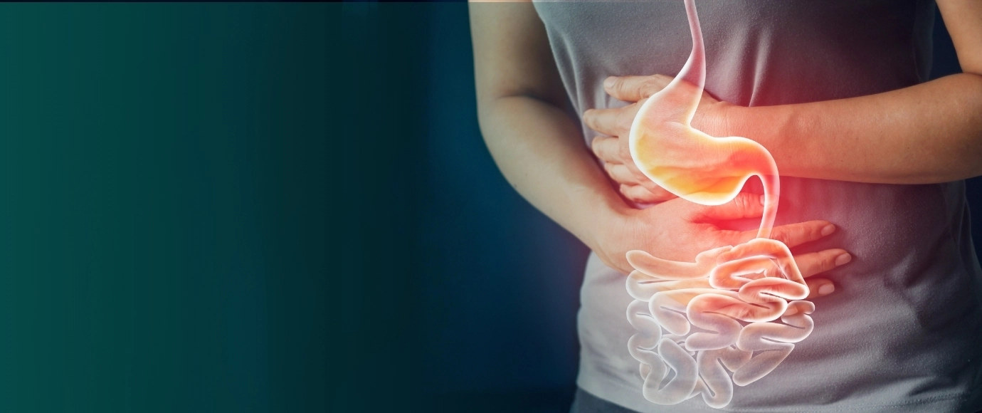 Эндоскопия — Orhun Medical