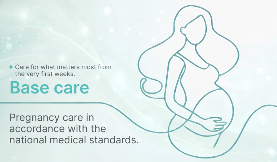 Pregnancy care in accordance with the national medical standards.